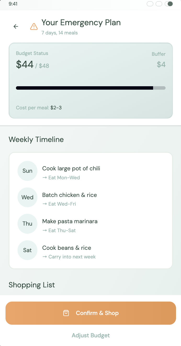 Your Emergency Plan — weekly timeline